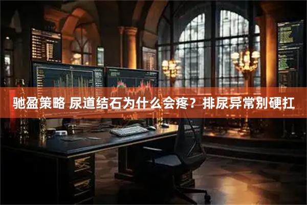 驰盈策略 尿道结石为什么会疼？排尿异常别硬扛